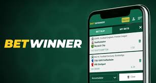 BetWinner Sportsbook Ultimate Guide for Sports Betting Fans BetWinner Sportsbook Ultimate Guide for Sports Betting Fans