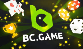Comprehensive Overview of the BC App Features, Benefits, and User Experience
