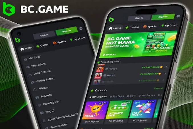 Exploring BC.Game Online Casino A New Horizon for Gaming in Japan