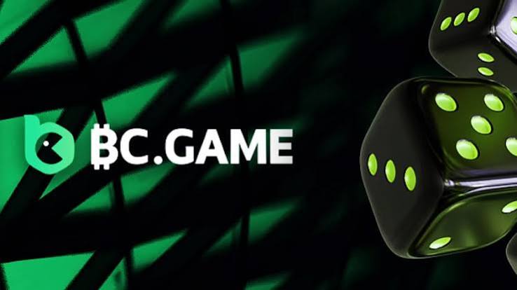 Exploring BC.Game Online Casino A New Horizon for Gaming in Japan